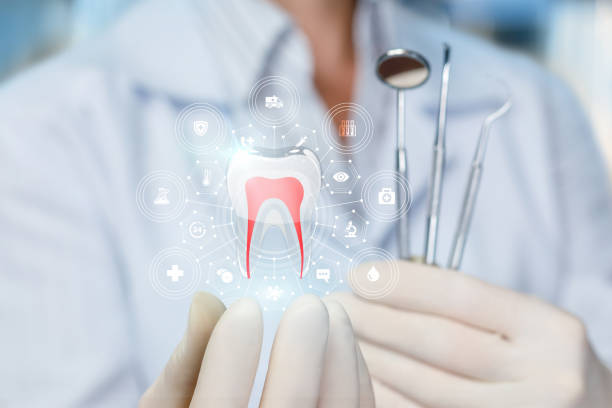 Best Dental X-Rays and Imaging  in Bradfordville, FL